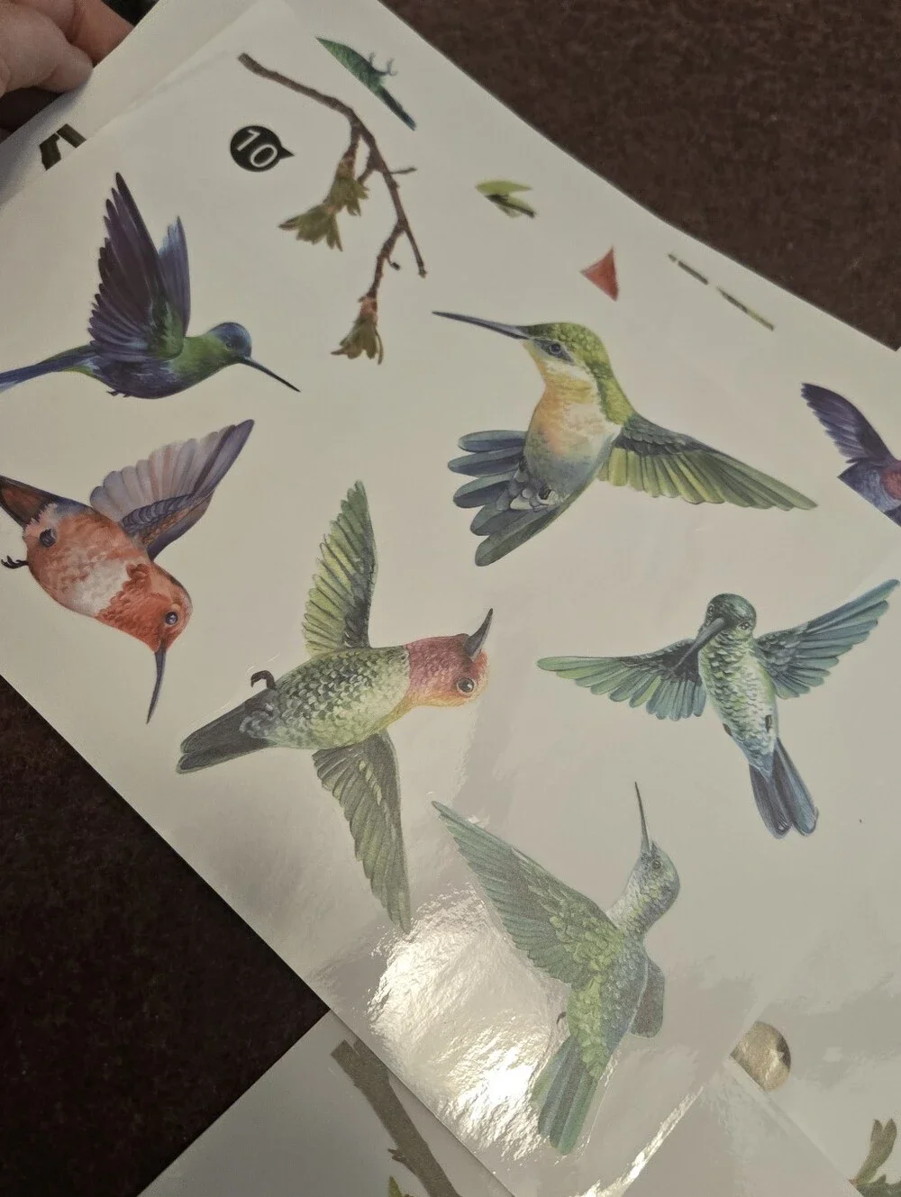 Bird & Branch Vinyl Window Clings Reusable No Adhesive